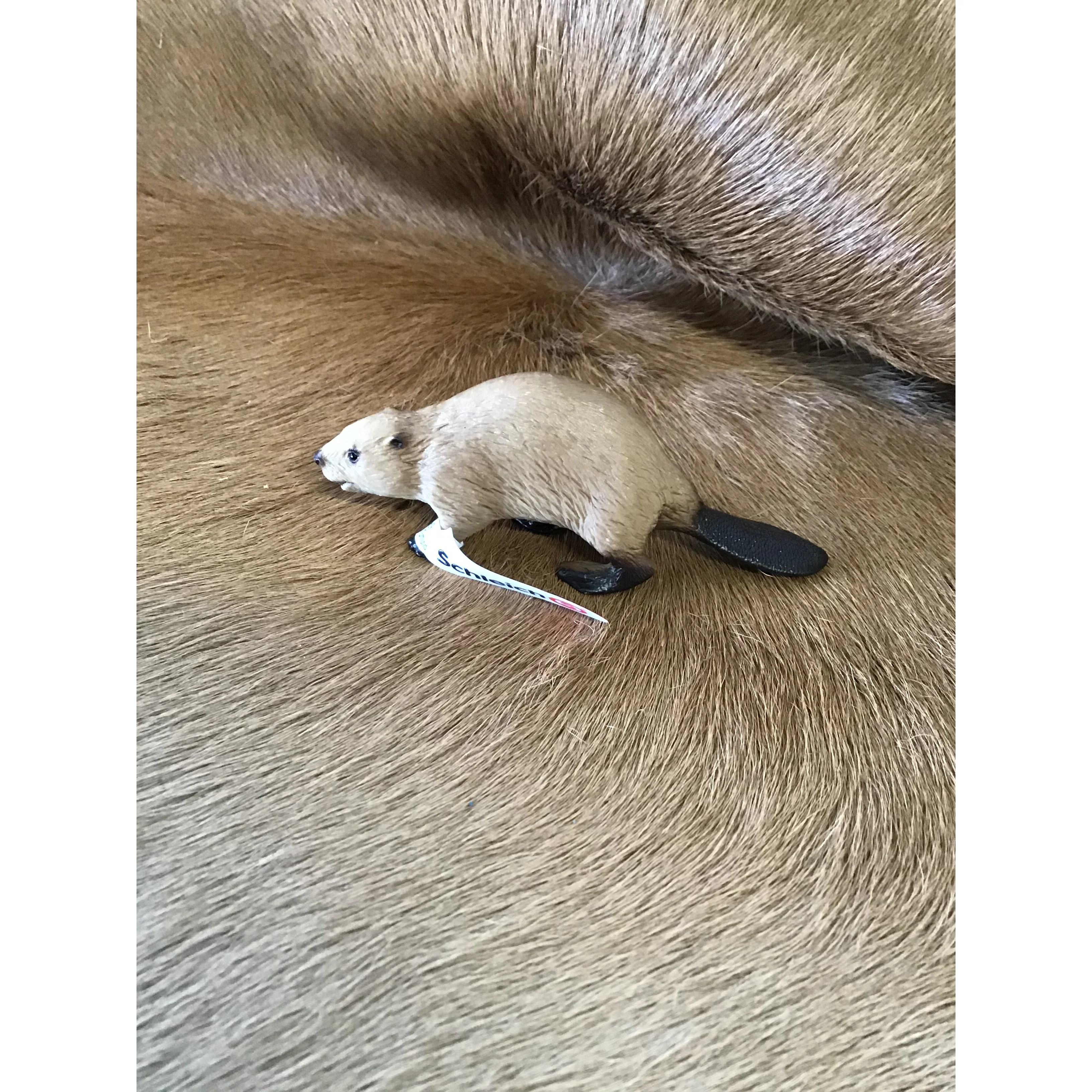 Schleich Beever
