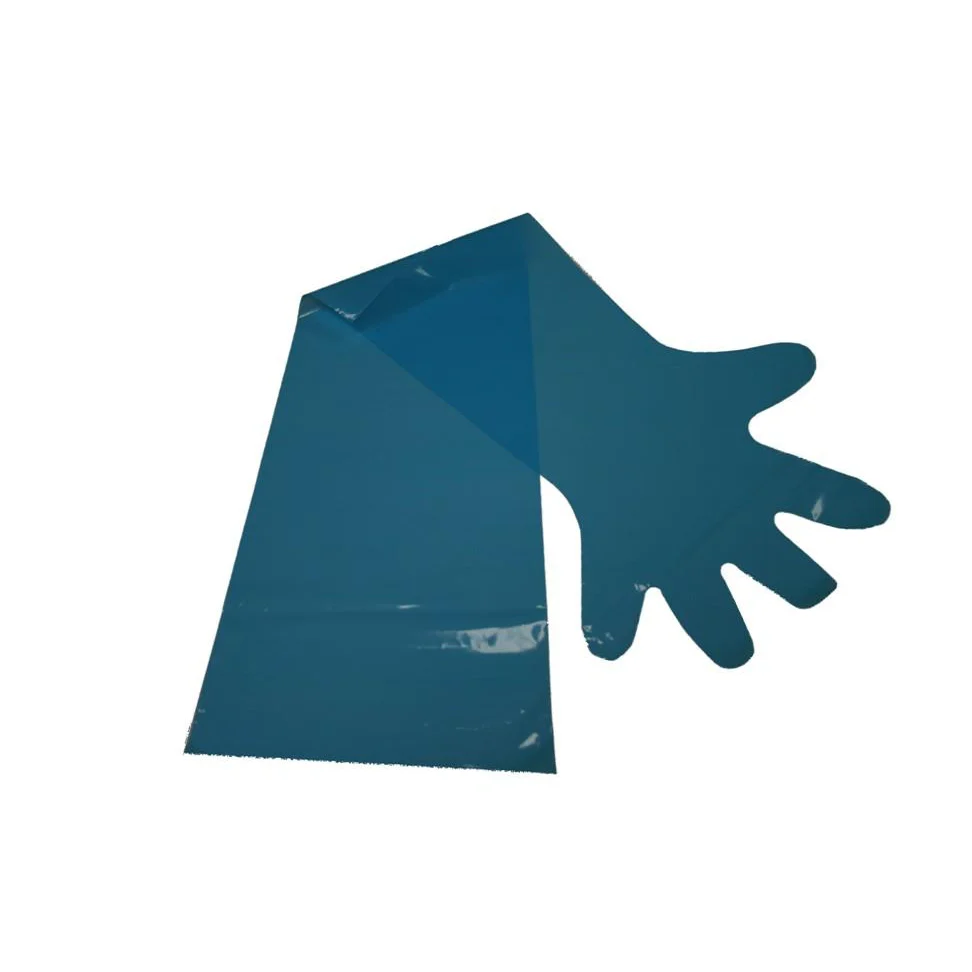 OB Gloves Regular  100 PK