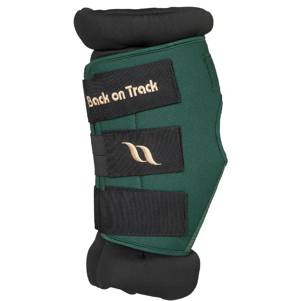 Back On Track Royal Hock Boots - Image 4