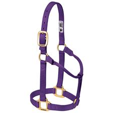 Weaver Leather Original Non-Adjustable Nylon Horse Halter, Weanling/Pony - Image 10