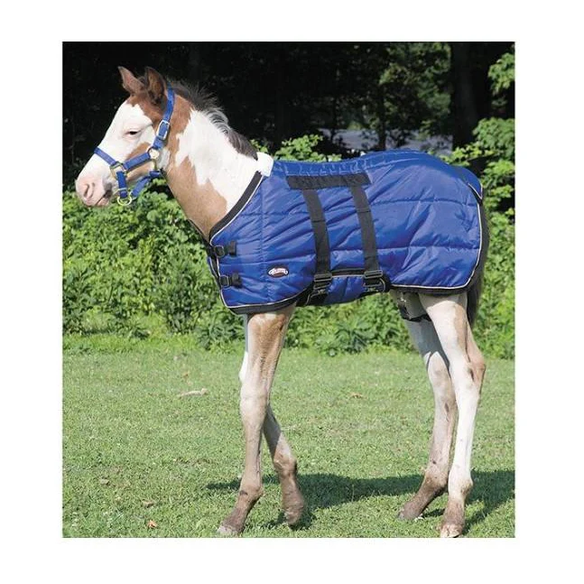 Weaver Foal Blanket