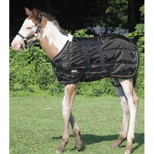 Weaver Foal Blanket - Image 2
