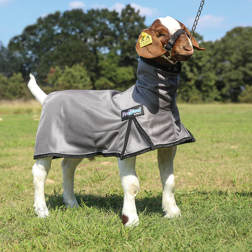 Weaver ProCool™ Mesh Goat Blanket with Reflective Piping Small - Image 11