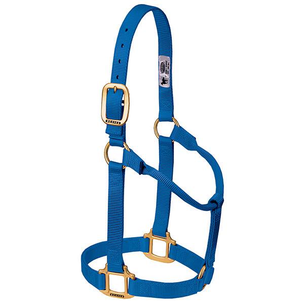 Weaver Leather Original Non-Adjustable Halter 1" - Yearling - Image 12