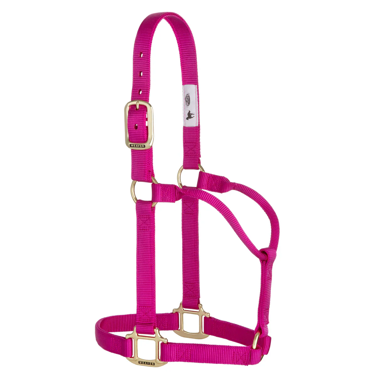 Weaver Leather Original Non-Adjustable Halter 1" - Yearling - Image 21