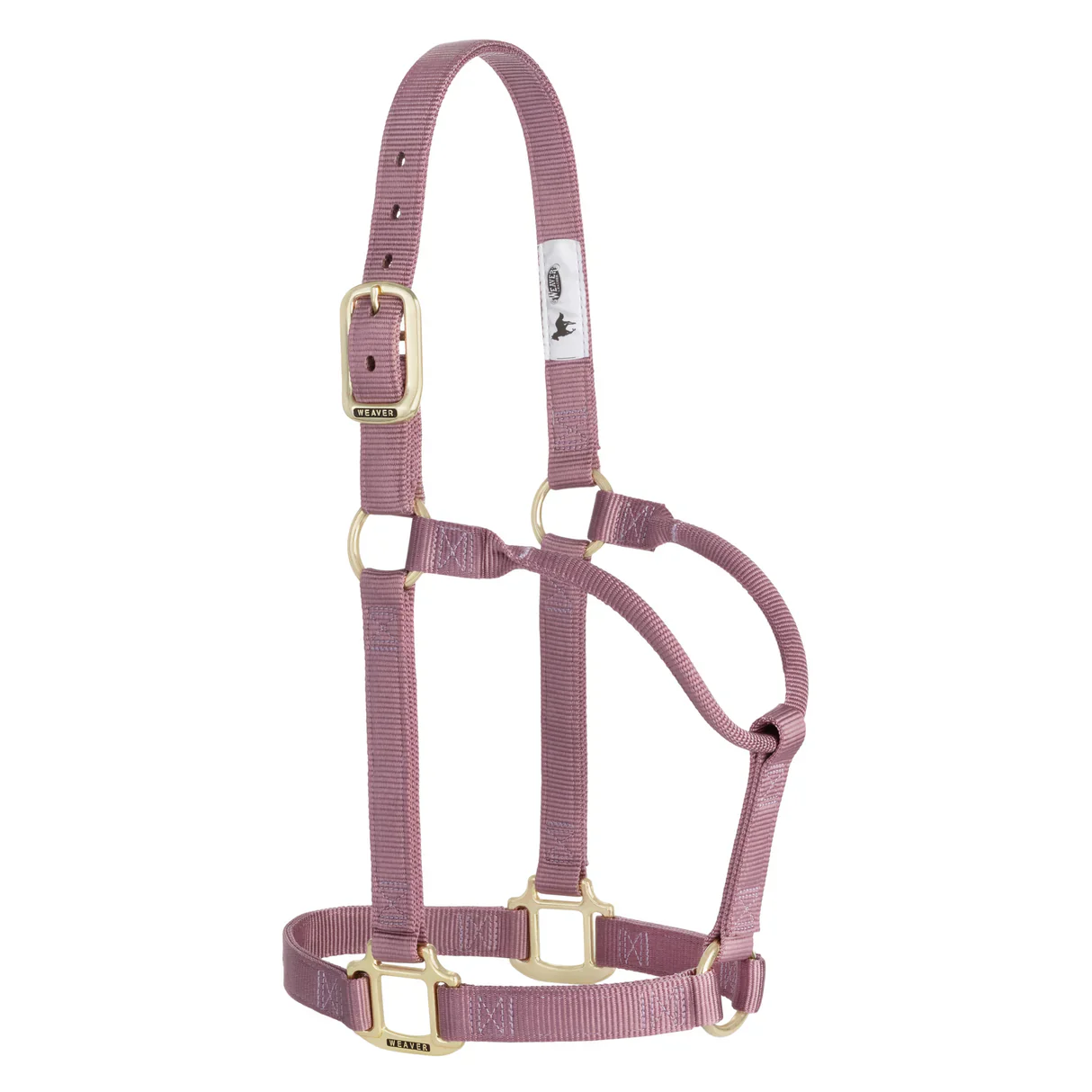 Weaver Leather Original Non-Adjustable Halter 1" - Yearling - Image 27