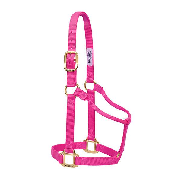 Weaver Leather Original Non-Adjustable Halter 1" - Yearling - Image 5