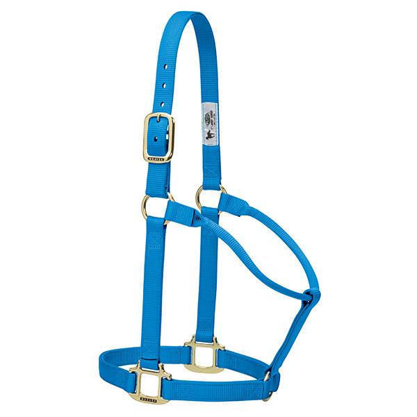 Weaver Leather Original Non-Adjustable Halter 1" - Yearling - Image 6