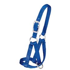 Weaver Llama Halter, Small - Image 2