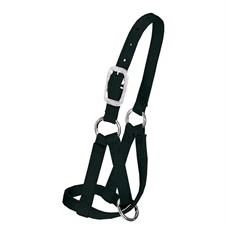 Weaver Llama Halter, 3/4" Medium/Large