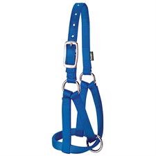 Weaver Llama Halter, 3/4" Medium/Large - Image 2