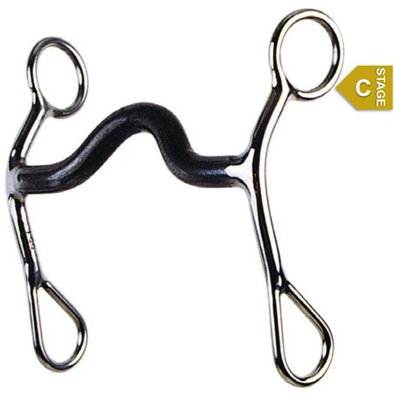 Reinsman "C" Sweet Iron Medium Port Bit