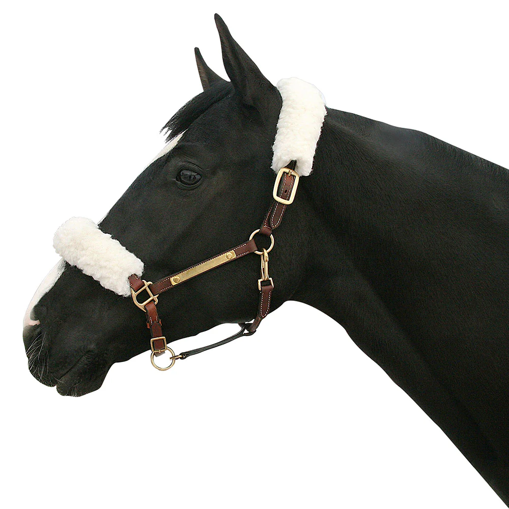 Back on Track Halter Cover