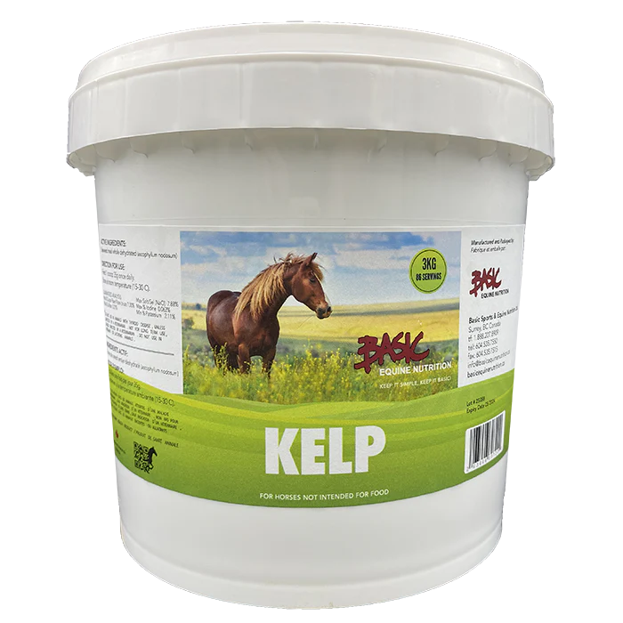 Basic Equine Kelp