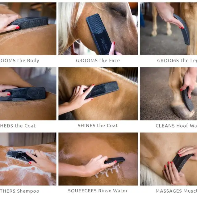 Betty's Best Striphair Gentle Groomer for Horse - Image 2