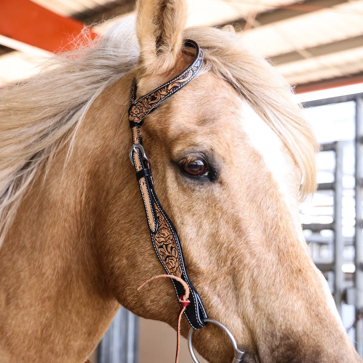 Circle Y Blooming Wild One Ear Headstall - Image 2