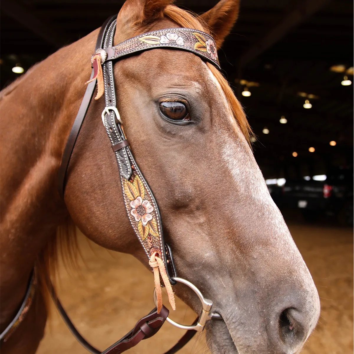 Circle Y Dogwood Flower Browband Headstall - Image 4