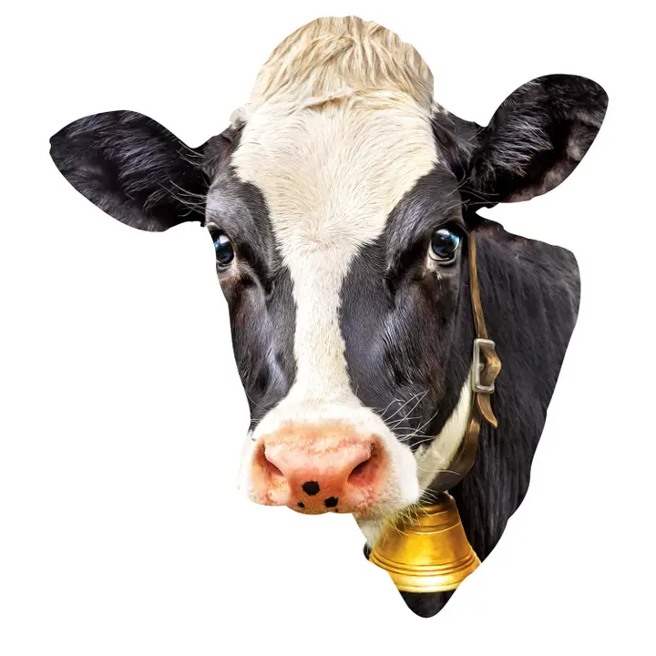 Cow 100 Piece Shaped Jigsaw Puzzle - Image 2