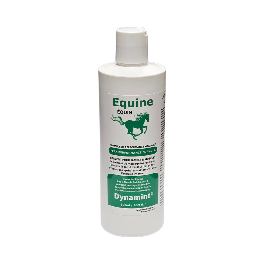 Dynamint Equine Leg & Muscle Rub-250ml