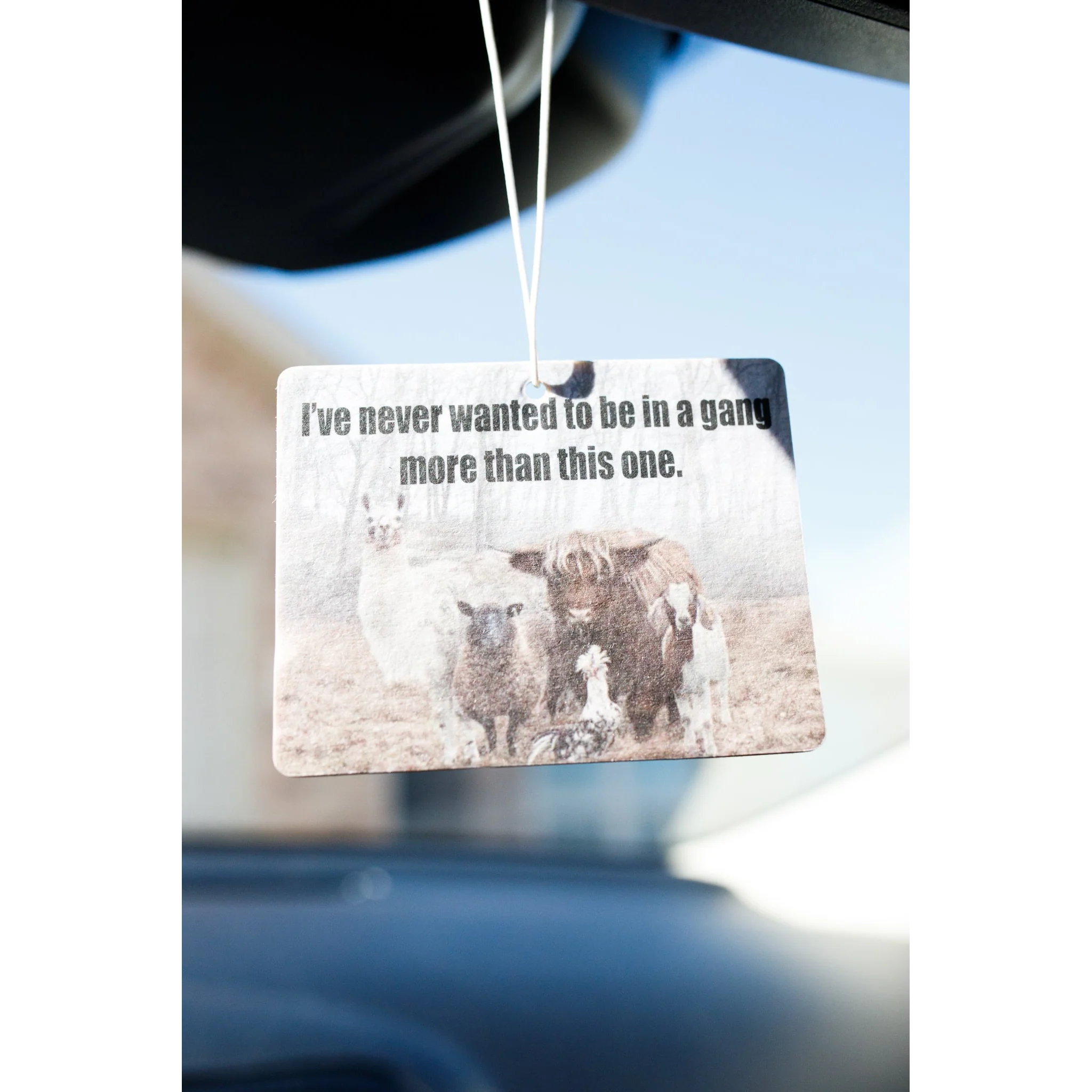 Front Porch Western Air Fresheners - Assorted Styles - Image 11