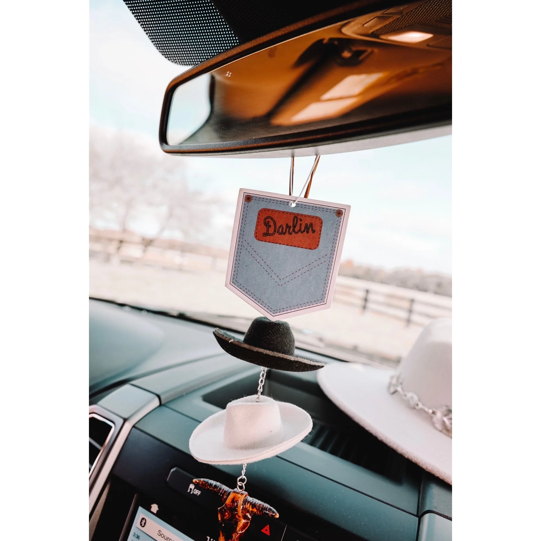 Front Porch Western Air Fresheners - Assorted Styles - Image 28