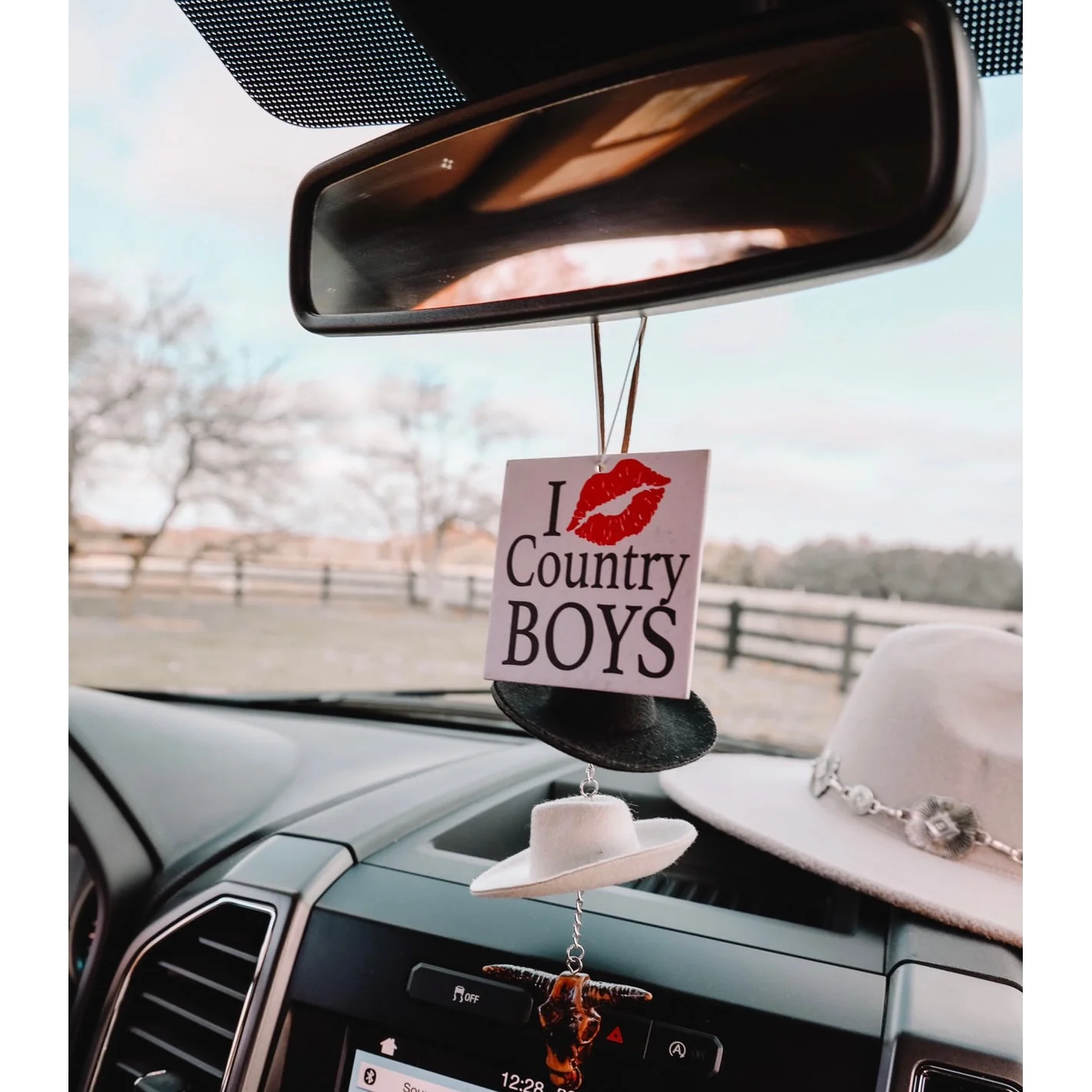 Front Porch Western Air Fresheners - Assorted Styles - Image 3