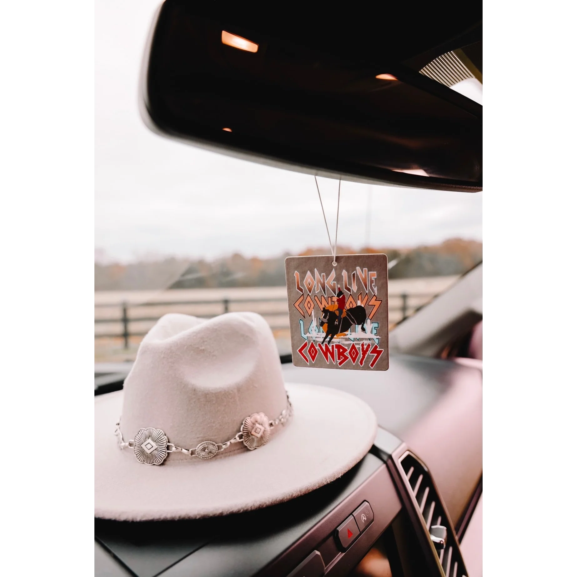 Front Porch Western Air Fresheners - Assorted Styles - Image 5
