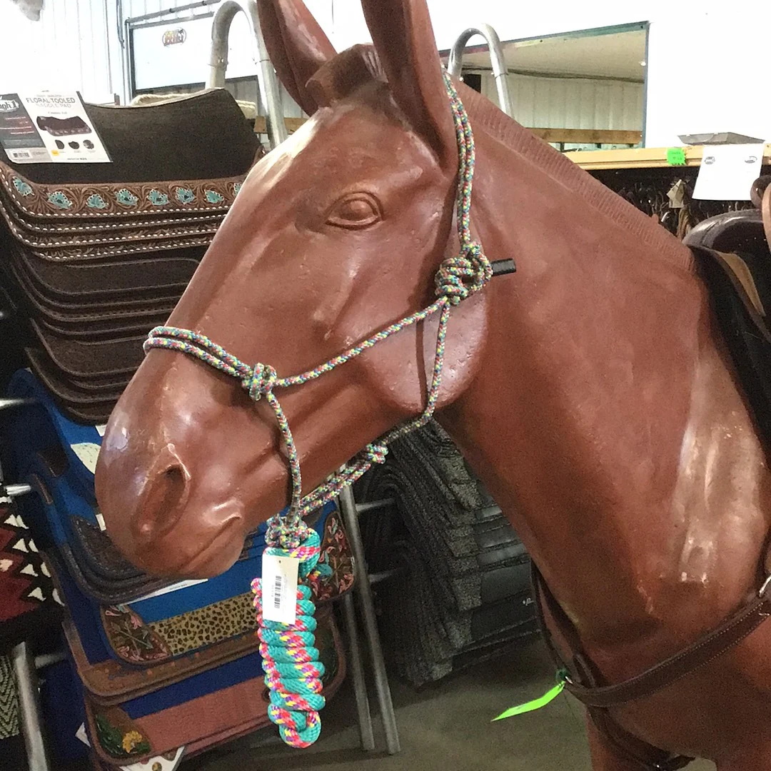 Irvine Diamond Mountain Halter 5/16" w/8' Lead