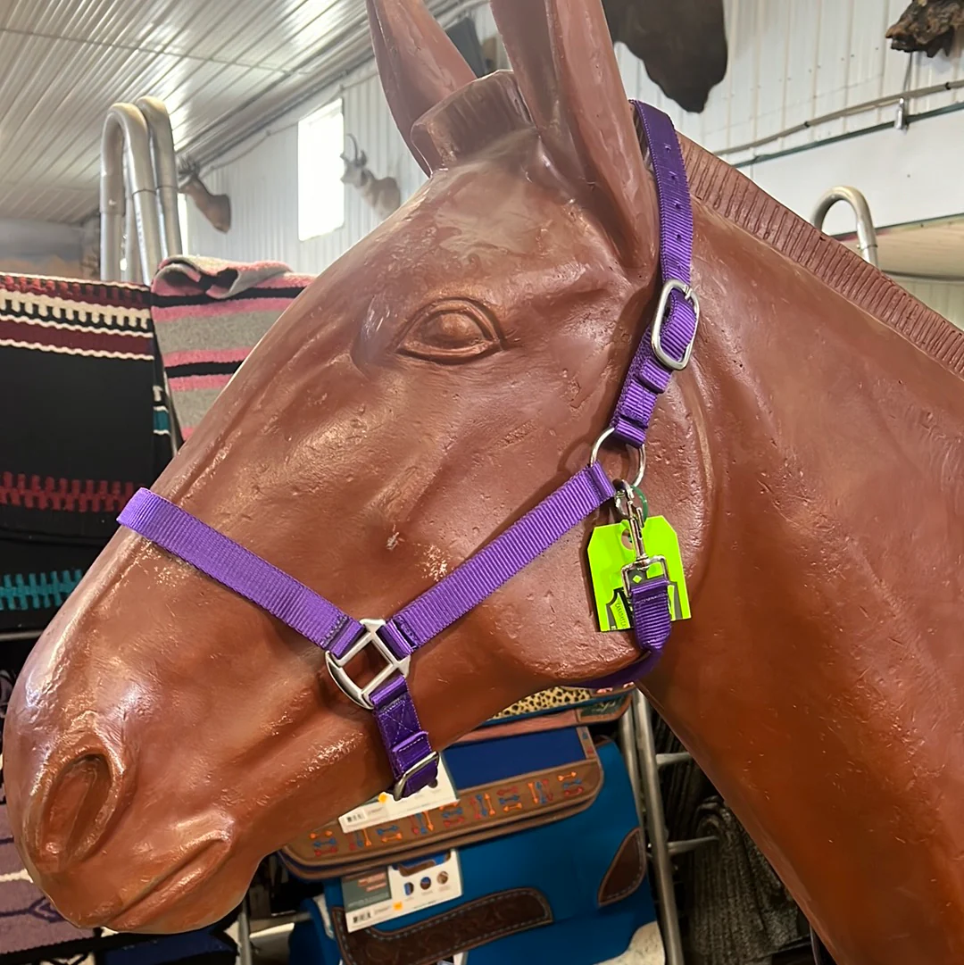 Irvine Nylon Adjustable Halter w/Snap - Image 10
