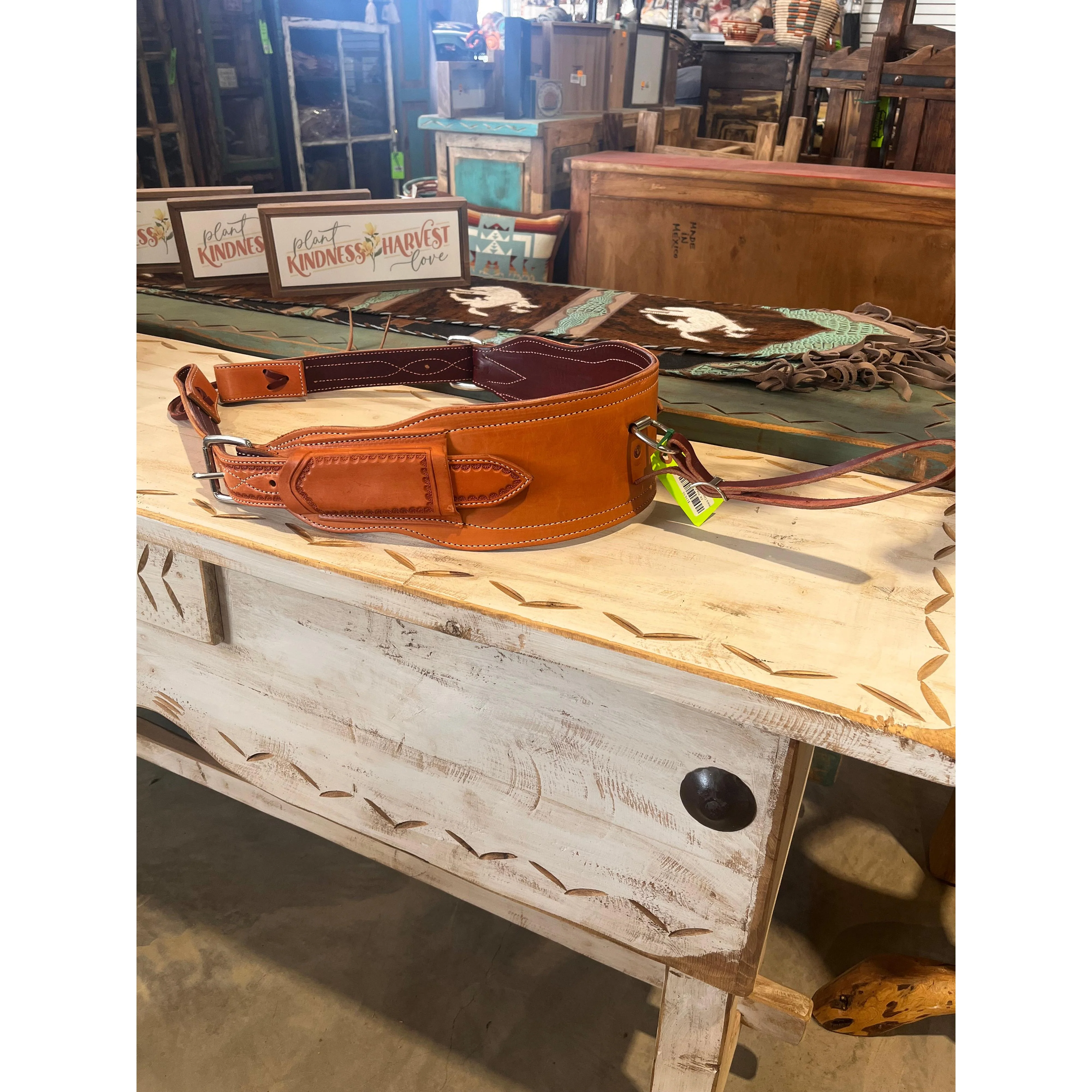 Irvine's Complete Back Cinch Set - Assorted Sizes - Image 6