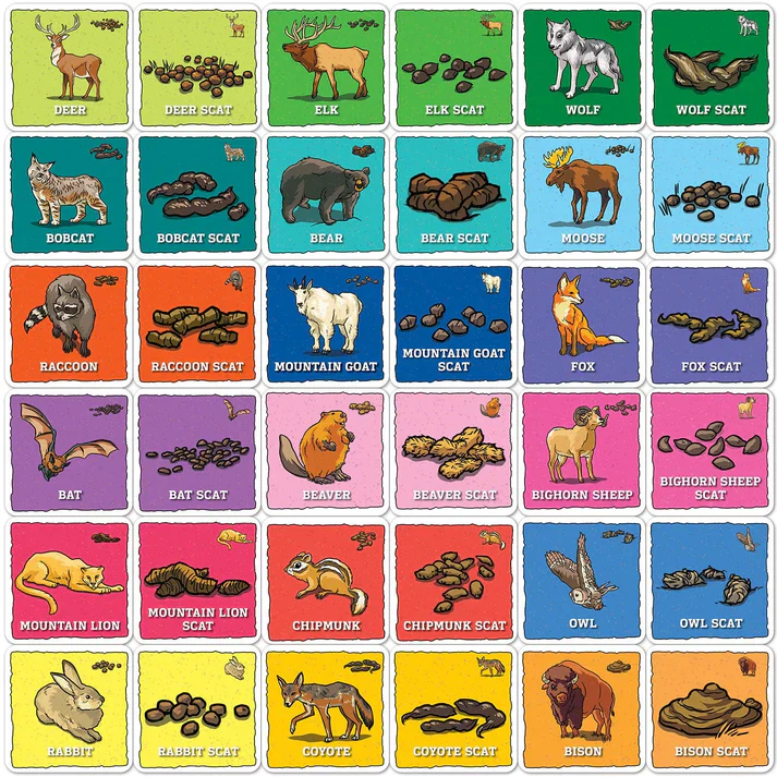 Masterpiece Jr. Ranger - Animal Poop Matching Game - Image 2