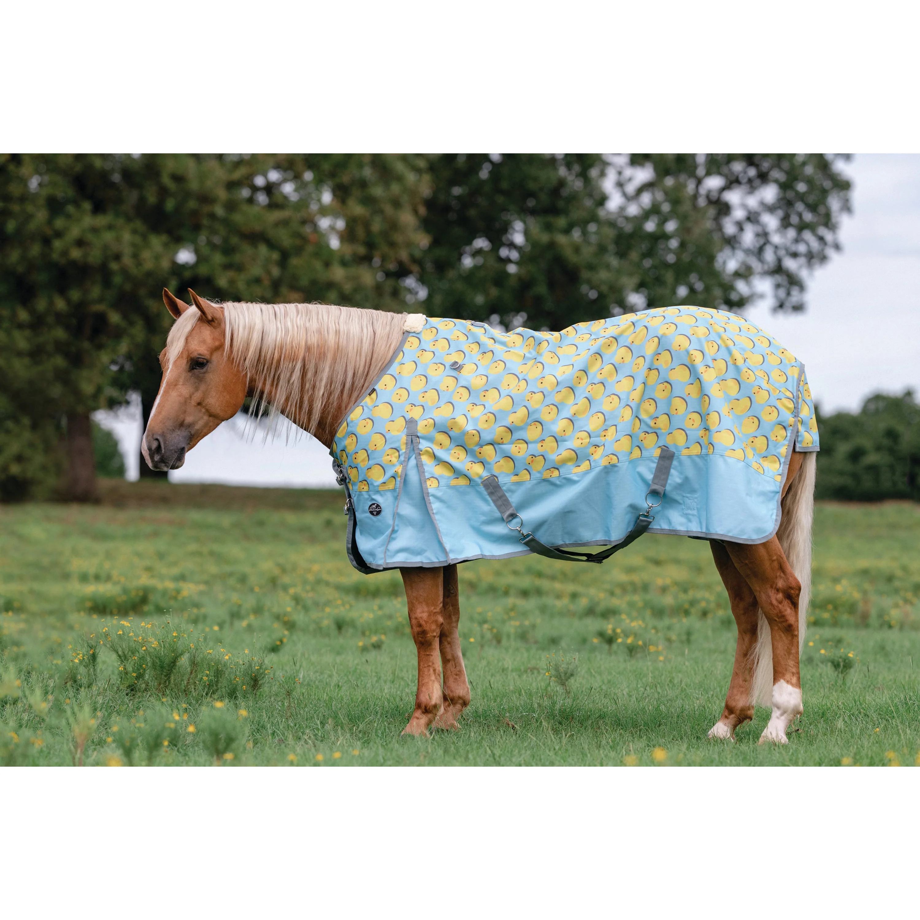 Professional's Choice Pony Rain Sheet - Image 2