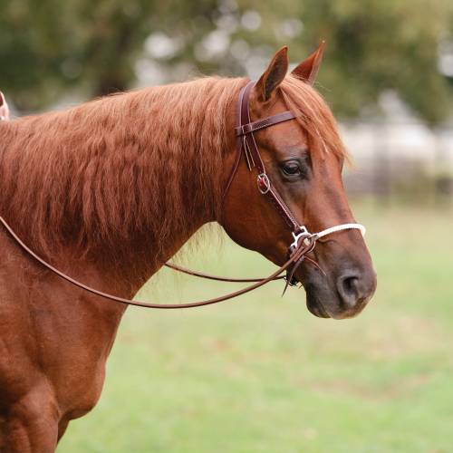 Professionals Choice Ranch Lariat Nose Side Pull - Image 2