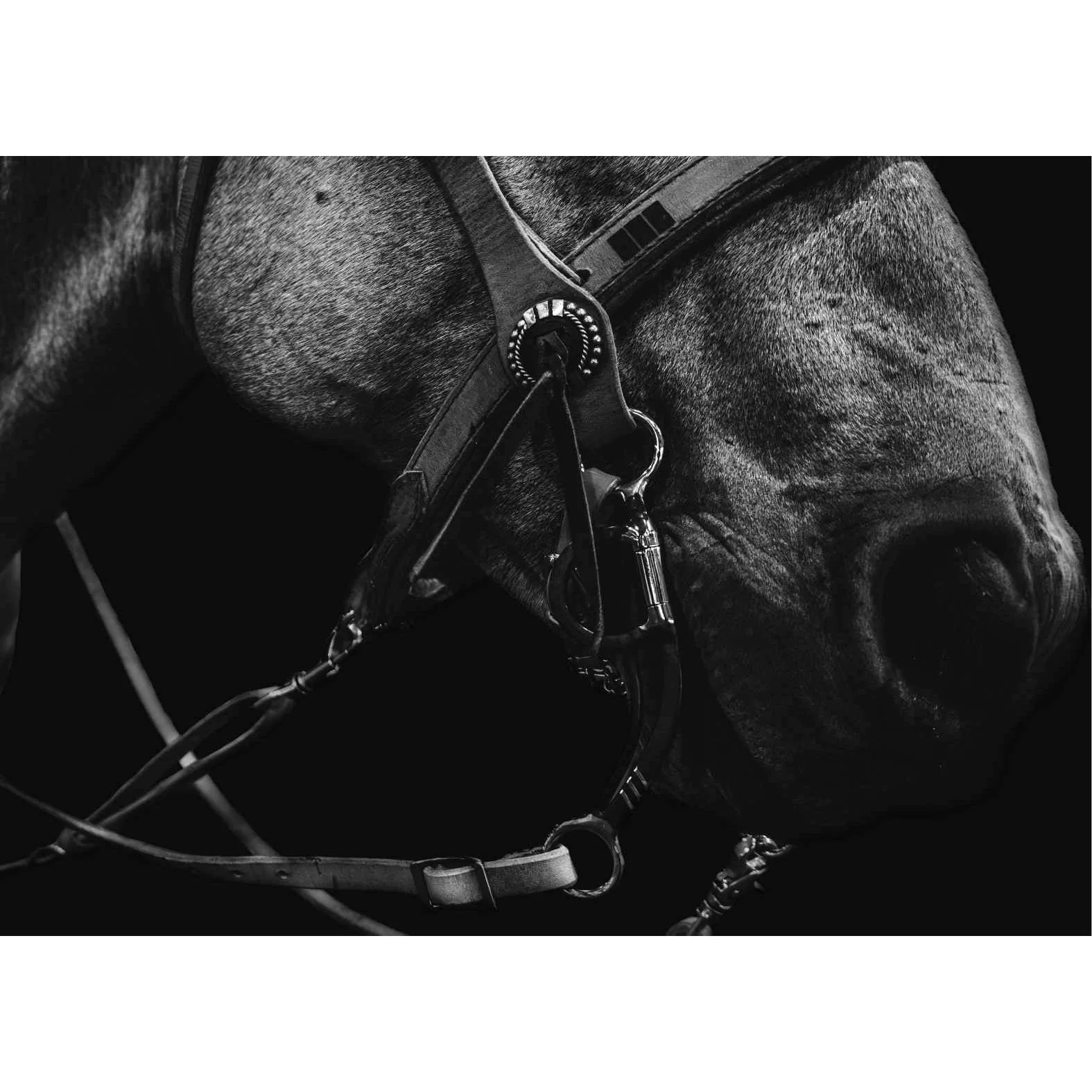 Reinsman PRCA Chain Mouth Bit- - Image 2