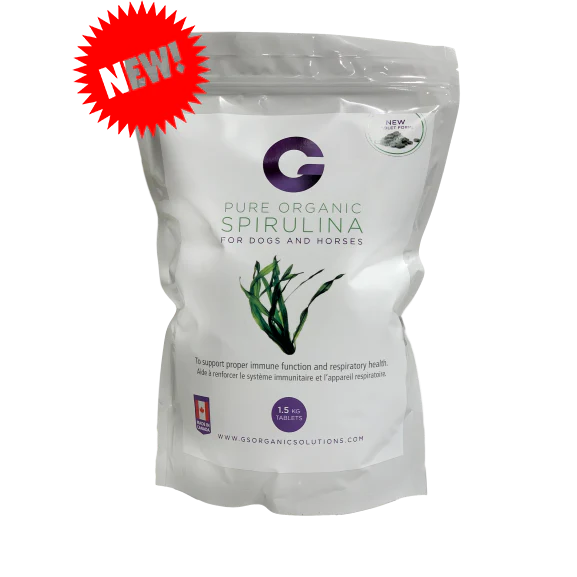 G's Organic Spirulina 1.5KG - Image 2