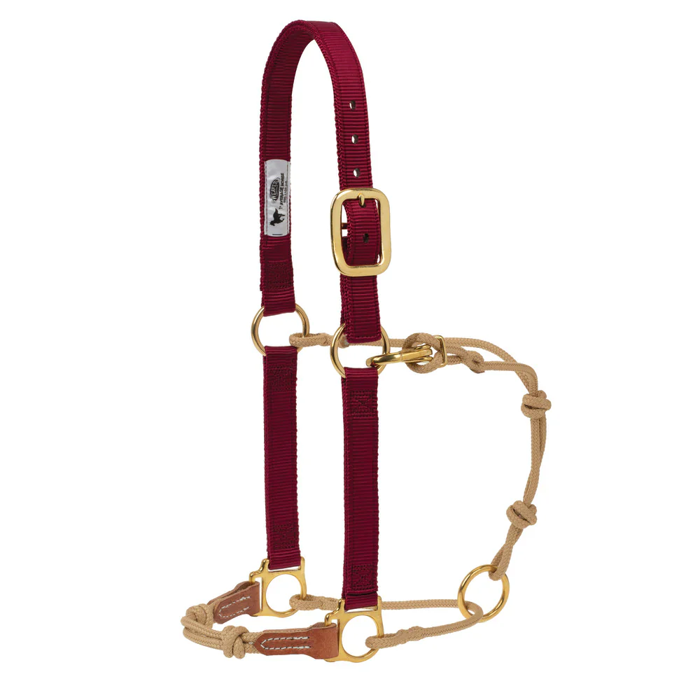Weaver Horseman's Halter - Large - Multiple Colours - Image 6