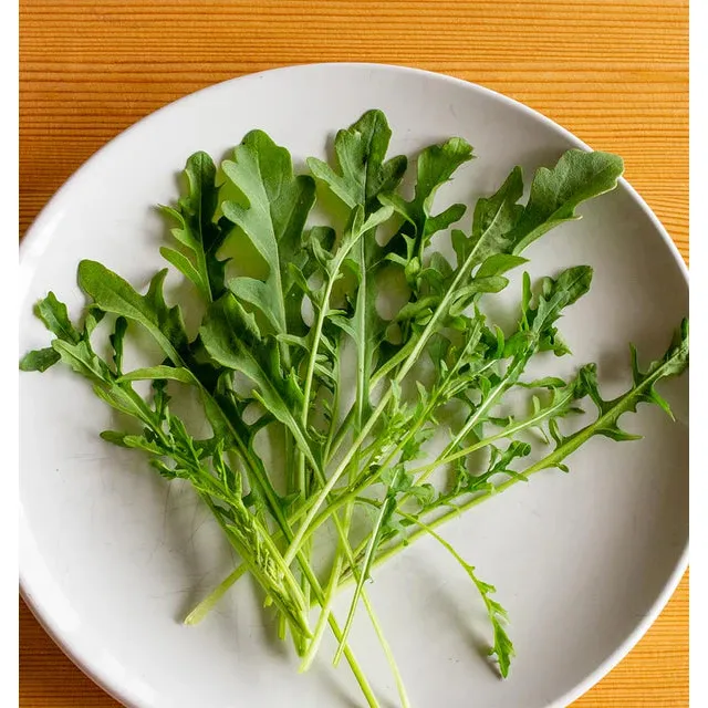 West Coast Seeds Vegetable Seeds - Arugula - Bellezia Organic  500 Seeds