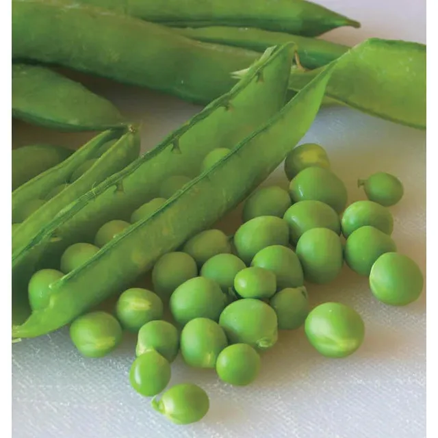 West Coast Seeds Vegetable Seeds - Peas - Green Arrow  20g