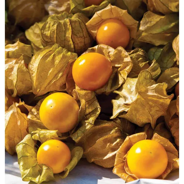 West Coast Seeds Vegetable - Tomatillo - Aunt Molly's Ground Cherry  0.1g
