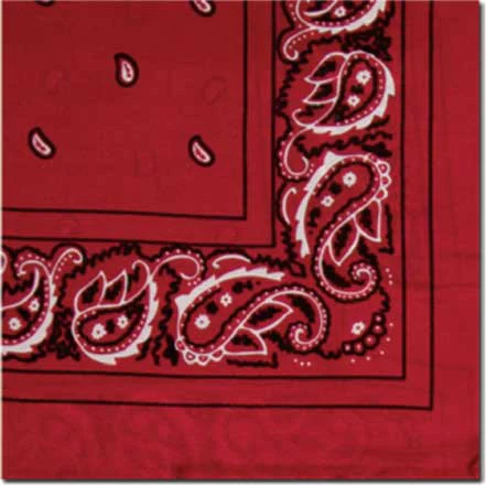 Wyoming Traders Silk Scarf - Bandana - Image 2